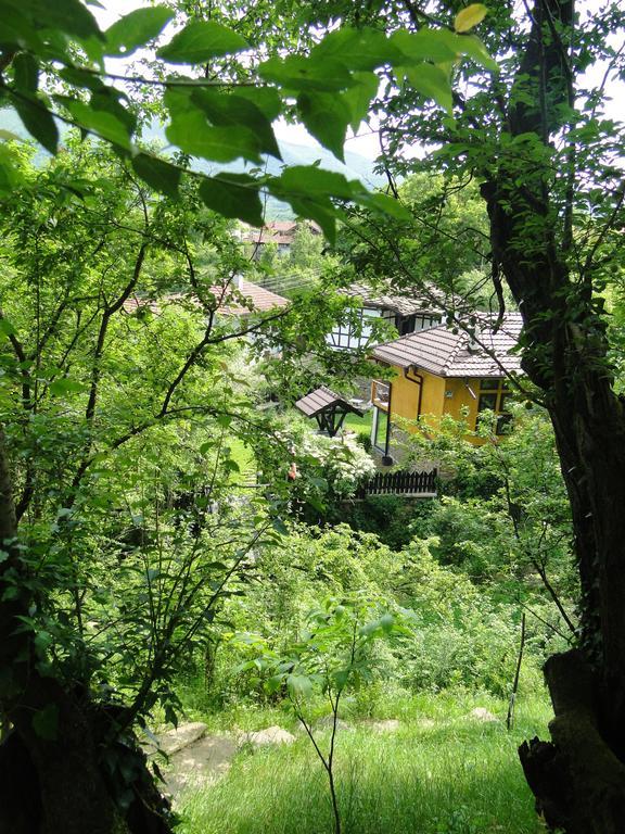 Countryside Houses Golets Ξενοδοχείο Εξωτερικό φωτογραφία